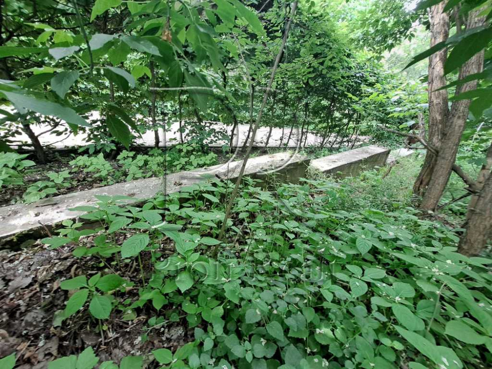 продажа участок под жилую застройку Обуховский, Креничи, 10000 $  - зображення 8