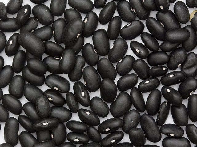 Купити квасолю. Квасоля в наявності. Продаж квасолі. Кропивницкий - изображение 1