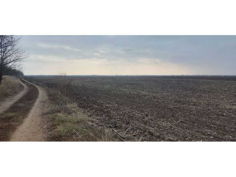 продажа земля сельскохозяйственного назначения Нововоронцовский, Нововоскресенское, 259505 грн.  - зображення 2