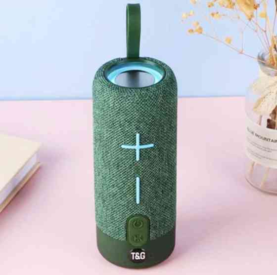 Колонка портативная Bluetooth T&G TG619C green зеленая Киев