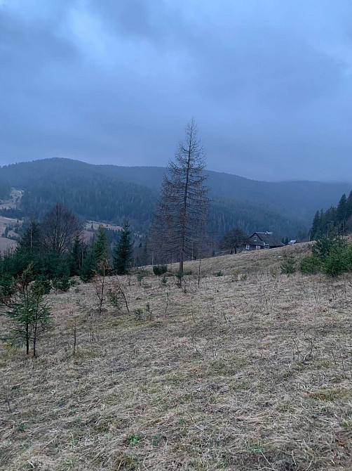 Земельна ділянка 0.35 га в Микуличині Яремче - зображення 8