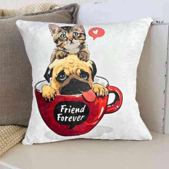 Подушка 3D Friend Forever 20222529_D 11973 35х35 см Київ