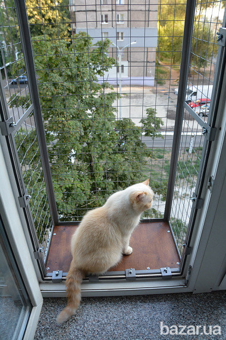 Балкон для выгула кошек, по почте. "Броневик" Днепр. Дніпро - зображення 2