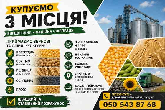 Закупівля зернових та олійних культур Київ
