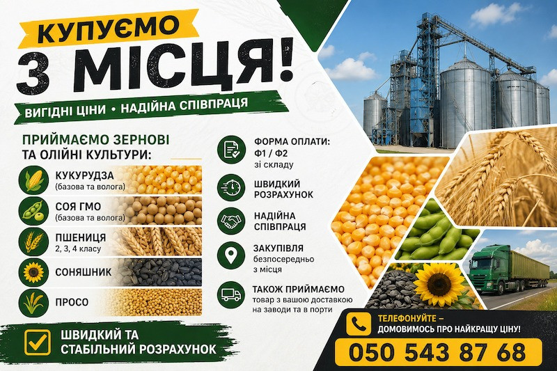 Закупівля зернових та олійних культур Київ - зображення 1