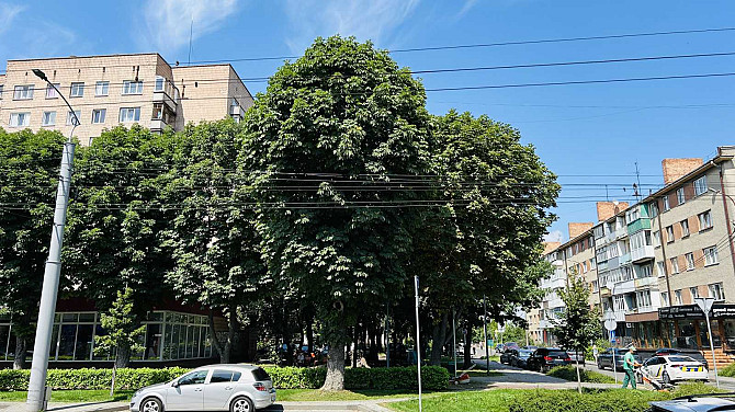 продажа 1-к квартира Луцк, 34500 $ Луцьк - зображення 7