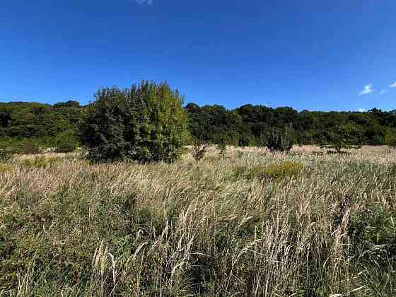 продажа участок под жилую застройку Пустомытовский, Подберёзцы, 360000 $ 