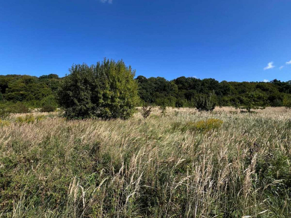 продажа участок под жилую застройку Пустомытовский, Подберёзцы, 360000 $  - изображение 2