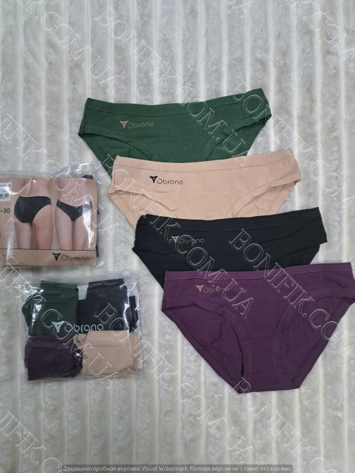 Женские трусы-слип в ассорти цветов ТМ "Obrana" (арт. 200-30/1) Кривой Рог - изображение 1