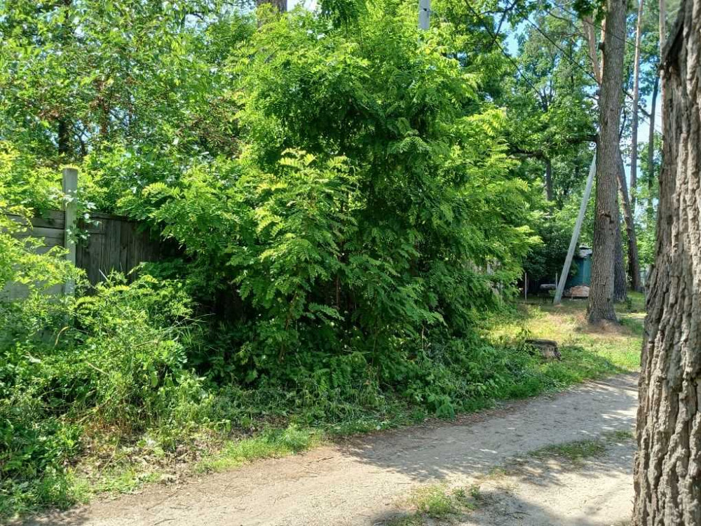 продажа участок под жилую застройку Киево-Святошинский, Ирпень, 94000 $ Ирпень - изображение 6