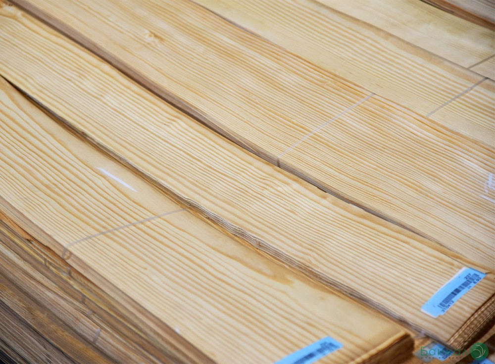 Шпон СОСНА Американская Київ - зображення 2