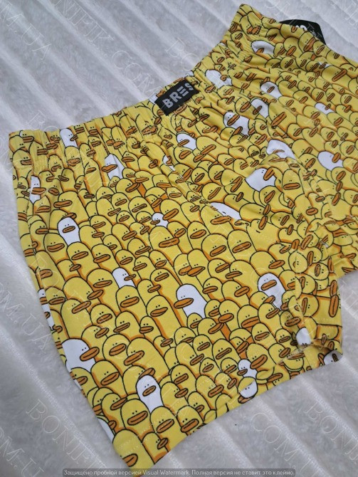 Мужские боксеры BRES с принтом «Уточки» (арт. MSHK 304/03/133) Кривий Ріг - зображення 2