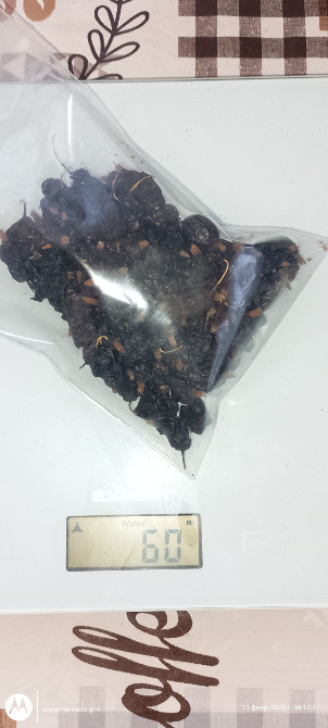 Сухофрукти ( айва, агрус(крижовник), смородина ) Верхнеднепровск - изображение 4