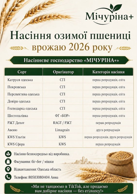 Насіння озимої пшениці врожаю 2026 року від виробника Винница - изображение 1