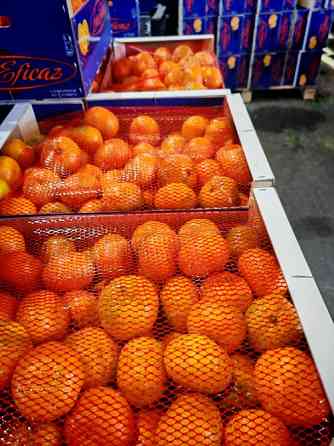 Продаем мандарины Киев