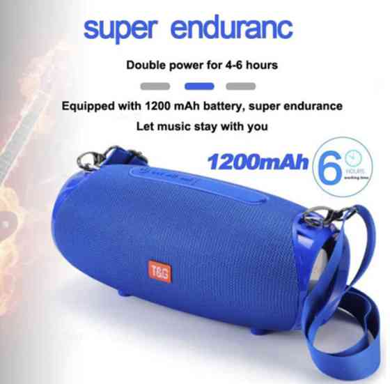 Колонка портативная Bluetooth T&G TG534 blue синяя Київ