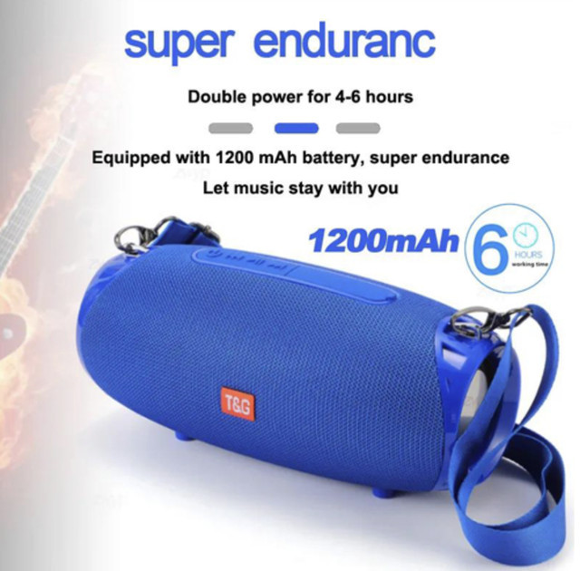 Колонка портативная Bluetooth T&G TG534 blue синяя Киев - изображение 5