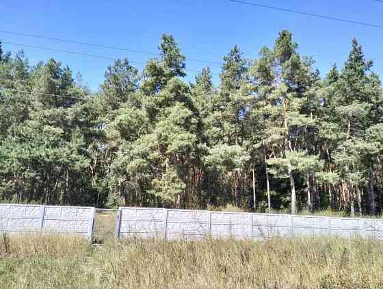 продажа 2-к дом Белоцерковский, Томиловка, 65000 $ 