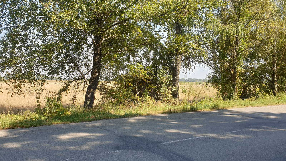 продажа участок под жилую застройку Бориспольский, Петропавловское, 18673000 грн.  - изображение 3