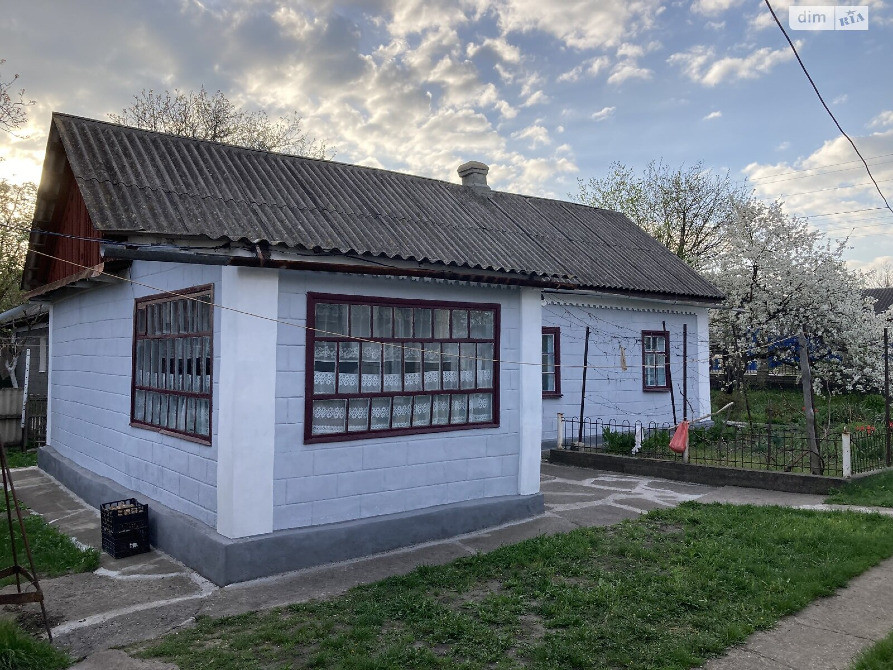 Продаж будинку в с. Помічна Новоукраїнського району Кіровоградської області Помічна - зображення 7