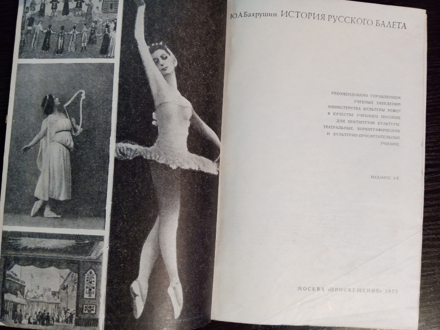 Книга: История русского балета. Львов - изображение 9