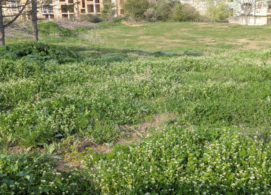 Участок рядом с морем, под строительство дома, в г. Бяла Одеса - зображення 6