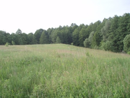 Будинок двоповерховий на два входи, 35 соток Киев - изображение 12