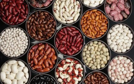 Квасоля Солдатик, Біла кругла, Біла довга, Кідні, Ластівка, Ліма, Мавка, Неві та ін. Львов - изображение 1