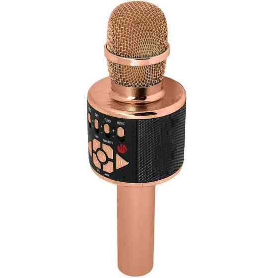 Караоке Микрофон-колонка D169 Херсон