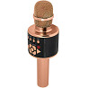 Караоке Микрофон-колонка D169 Херсон