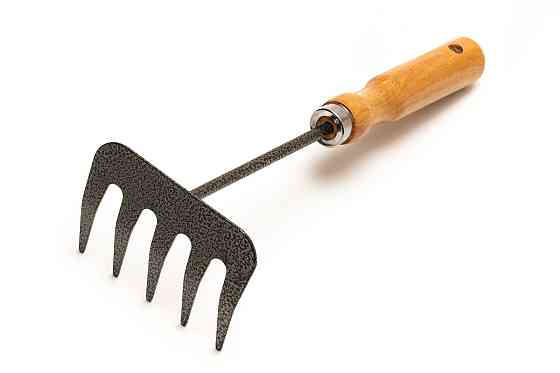 Грабли садовые MASTERTOOL 5 зубьев 255х95 мм с деревянной ручкой 14-6191 Харків