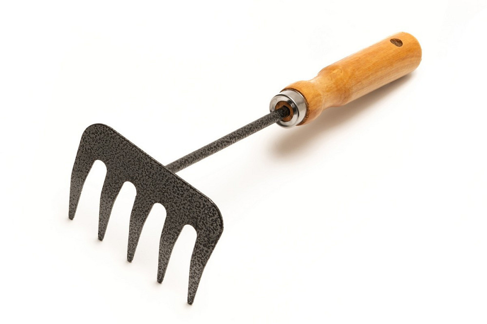 Грабли садовые MASTERTOOL 5 зубьев 255х95 мм с деревянной ручкой 14-6191 Харків - зображення 1