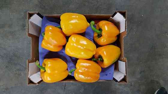 Продаем перенц Київ