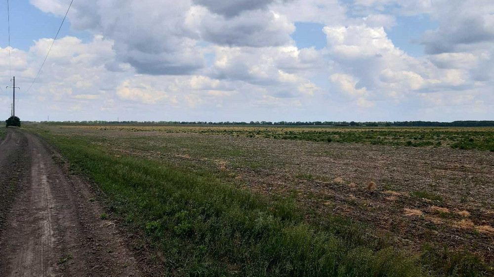 продажа земля сельскохозяйственного назначения Бориспольский, Головуров, 223570 грн.  - изображение 2