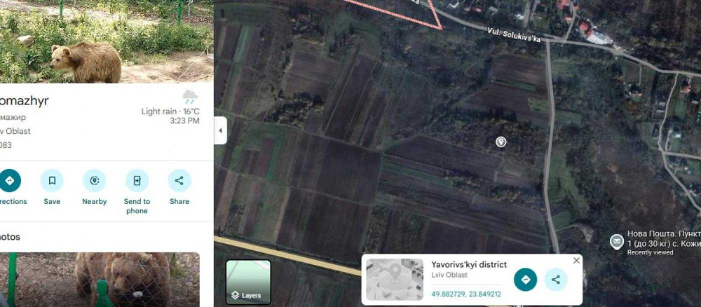 продажа земля сельскохозяйственного назначения Яворовский, Домажир, 105000 $  - зображення 8