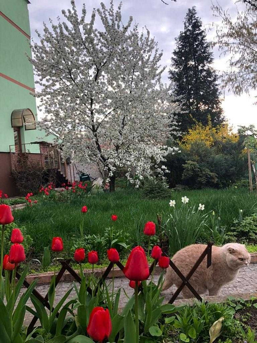 Продам. Дом 280 м.кв., 5.5 соток, район Гагарина, ул.Аэродромная. Дніпро - зображення 8