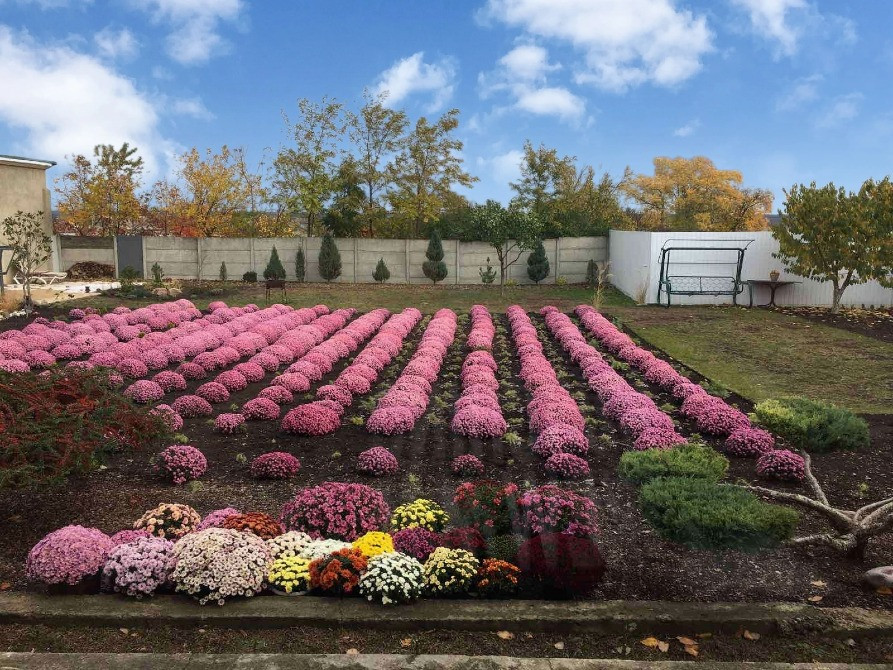 Купить дом в пригороде Одессы, село Холодная Балка, современный дом, 12км Одесса трассы Одесса-Киев Одесса - изображение 7