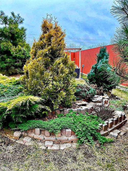 Таунхаус в дофиновке Одеса - зображення 8