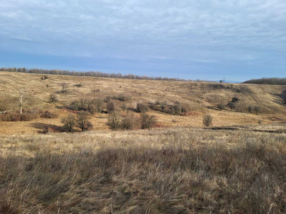 продажа земля сельскохозяйственного назначения Васильковский, Великая Бугаевка, 387000 грн.  - изображение 3