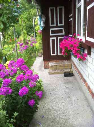 Подам дачу в садовому товаристві «Дніпровський залив « Кременчук