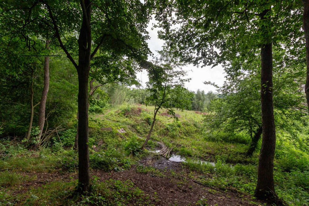 продажа участок под жилую застройку Киево-Святошинский, Хотов, 75000 $  - зображення 8