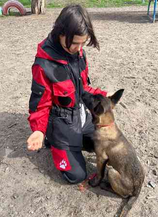 дресирування собак усіх порід на спеціально обладнаному майданчику Запоріжжя