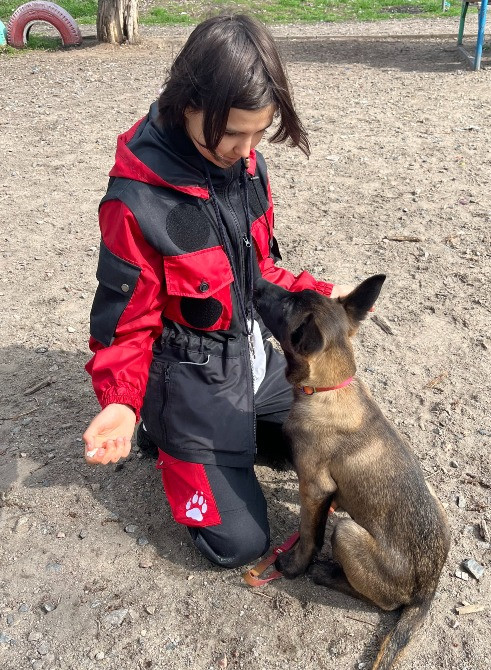 дресирування собак усіх порід на спеціально обладнаному майданчику Запоріжжя - зображення 3