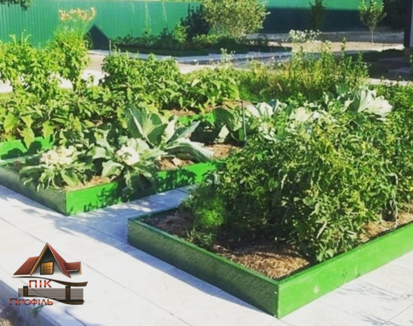 Грядка, клумба, квітник Киев - изображение 4