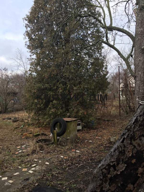 Продаж зкмельного участка м. Славутич КОД  228867 Київ - зображення 6