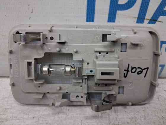Плафон задний Nissan Leaf 2017- 264103NA0A (Арт. 84254) Киев
