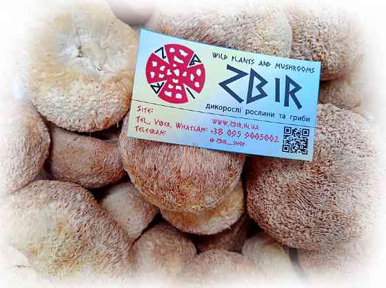 Їжовик Гребінчастий (Hericium erinaceus), цілі плоди Полтава