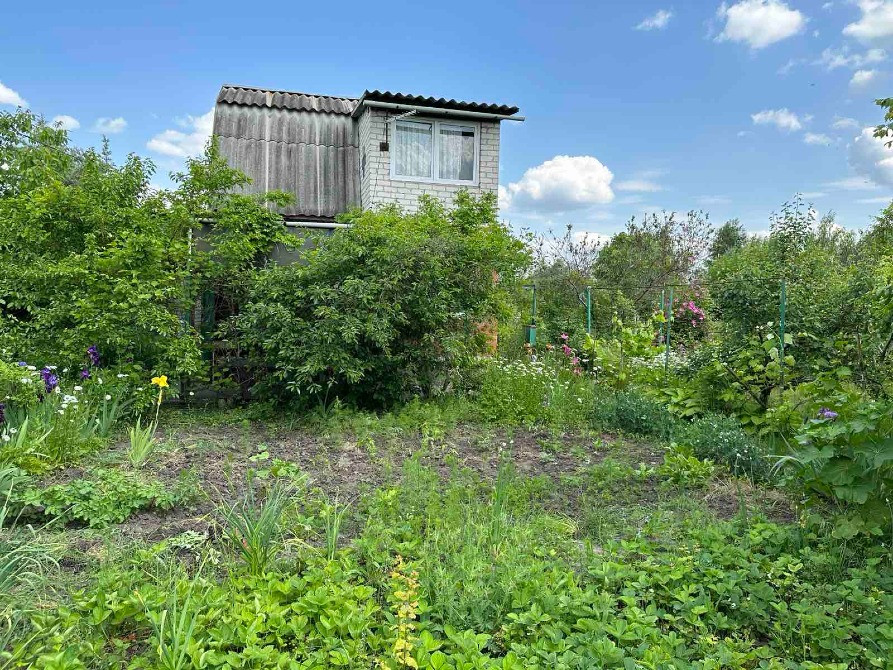 Продам дачу в Романках Кременчуг - изображение 8