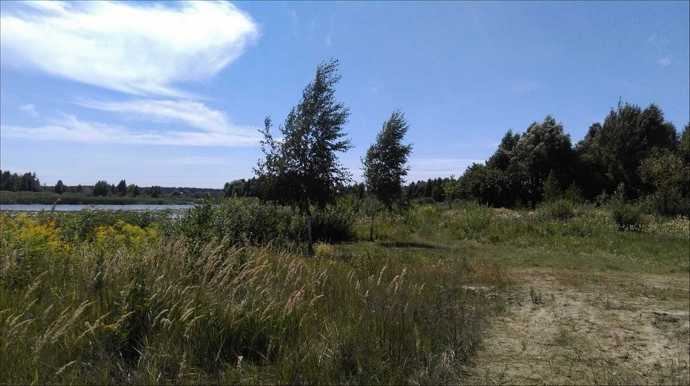 продажа участок под жилую застройку Обуховский, Козин, 128800 $  - изображение 1