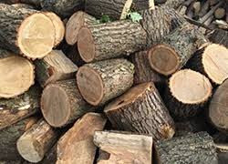 Продам дрова Полтава - изображение 1